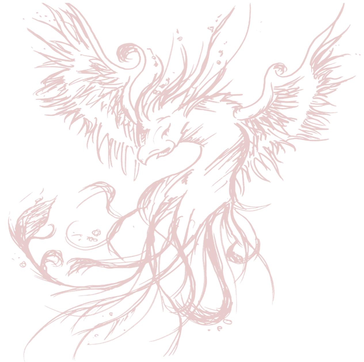 Dieses Bild hat ein leeres Alt-Attribut. Der Dateiname ist Bild-Phoenix.png
